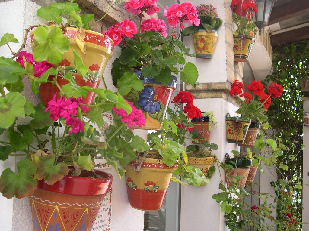 Hotel Cortijo Los Gallos Chiclana de la Frontera Zewnętrze zdjęcie