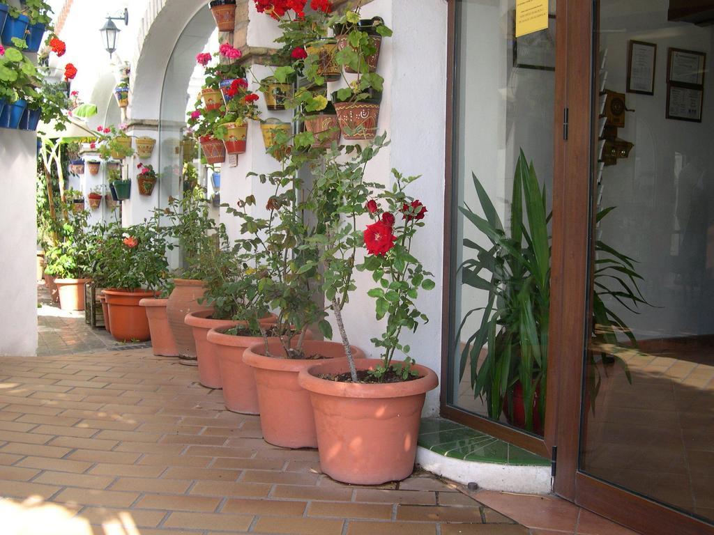 Hotel Cortijo Los Gallos Chiclana de la Frontera Zewnętrze zdjęcie
