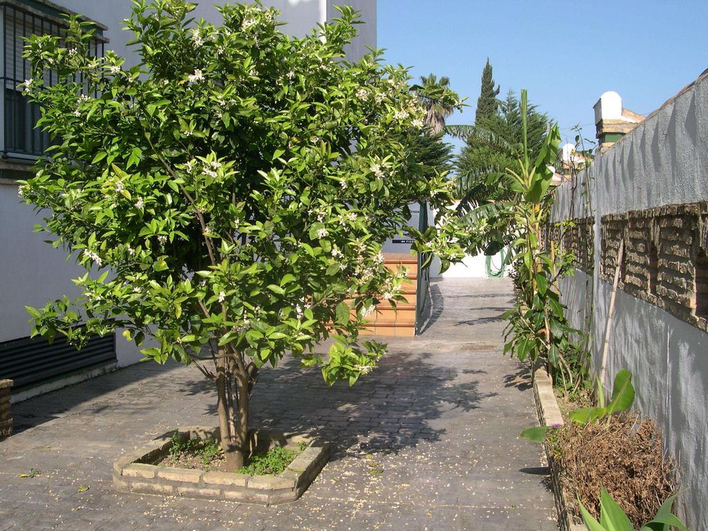 Hotel Cortijo Los Gallos Chiclana de la Frontera Zewnętrze zdjęcie
